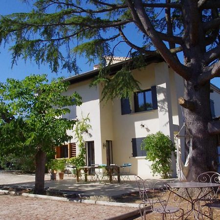 Le Grand Cedre - 2 Chambres D'Hotes - Sud Ardeche ブール・サン・タンデオル エクステリア 写真