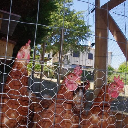 Le Grand Cedre - 2 Chambres D'Hotes - Sud Ardeche ブール・サン・タンデオル エクステリア 写真