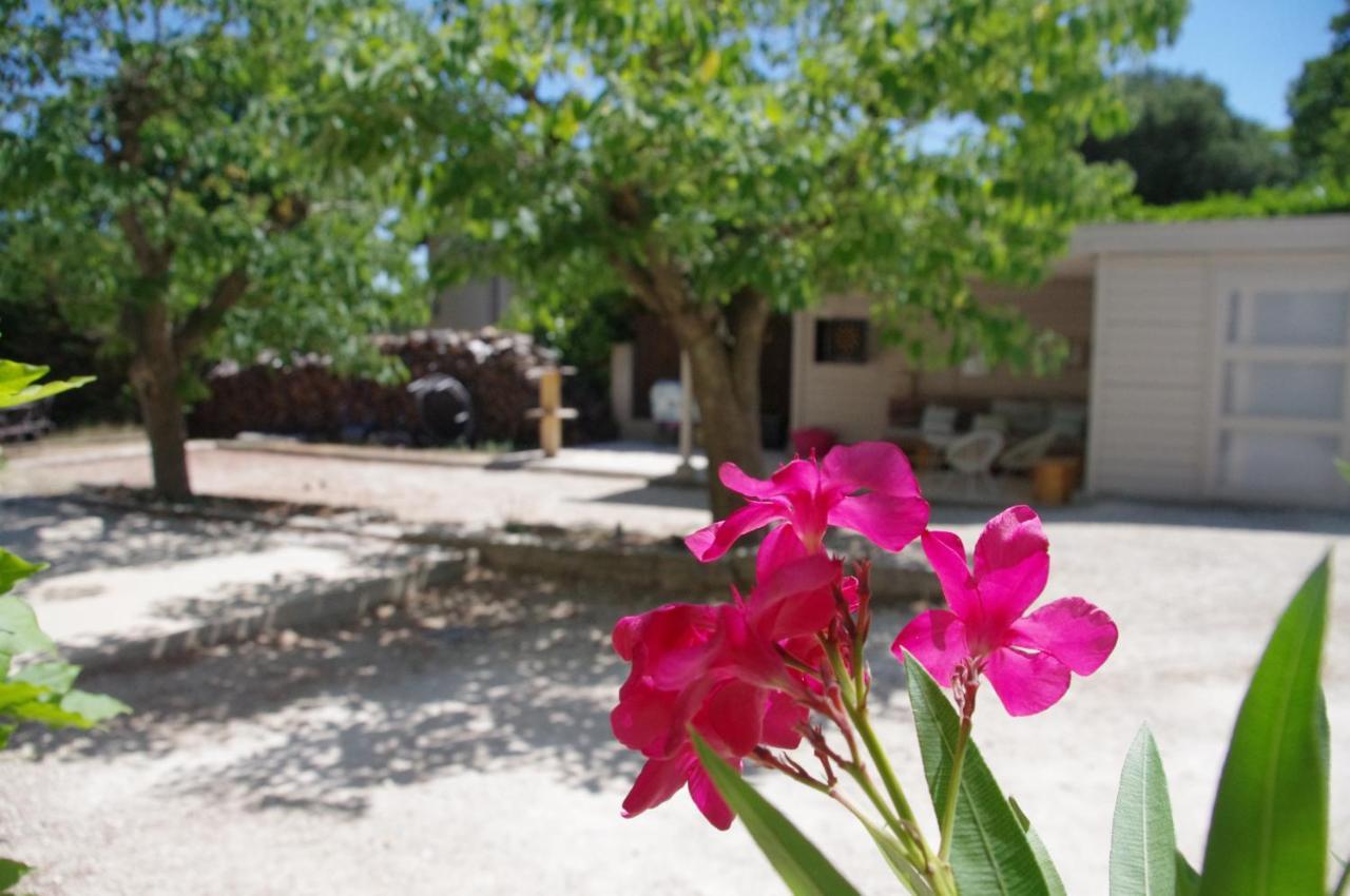 Le Grand Cedre - 2 Chambres D'Hotes - Sud Ardeche ブール・サン・タンデオル エクステリア 写真